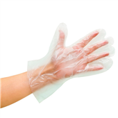 Gloves Polyethylene Large 500PK
